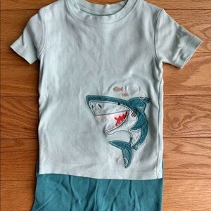 Carter’s Boys 3T Teal and Blue Shark PJ Set